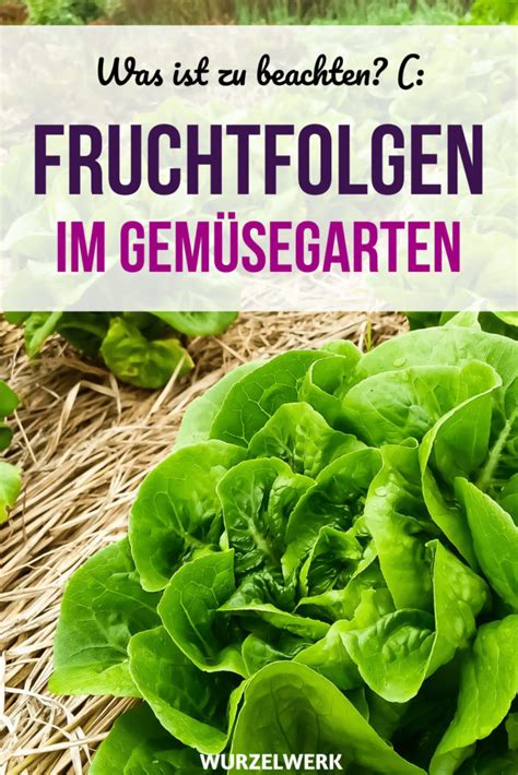 Fruchtfolge Erstellen Schritt F R Schritt Zum Perfekten Gem Segarten