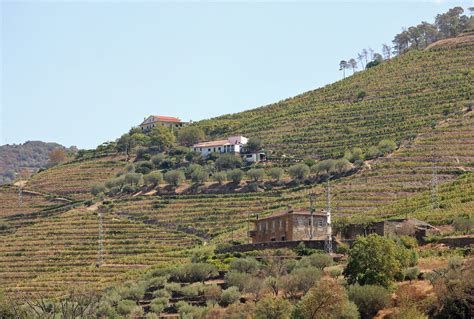 Quinta do Valle Longo Adorigo Tabuaço André Barragon Flickr