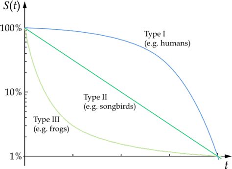 Survivorship Curves If We Plot The Logarithm Of Survival Against