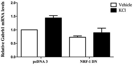 Frontiers Nuclear Respiratory Factor Nrf Controls The Activity