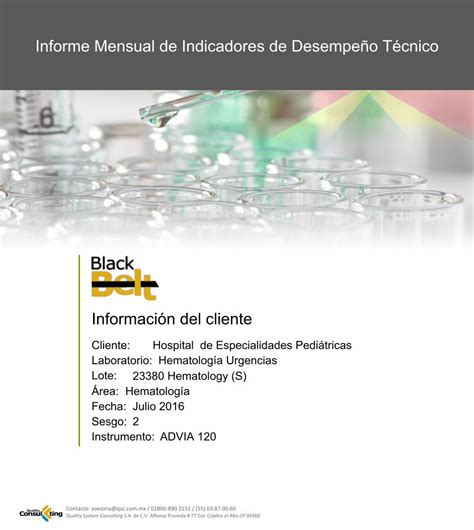 PDF Informe Mensual de Indicadores de Desempeño Té PDF fileInforme