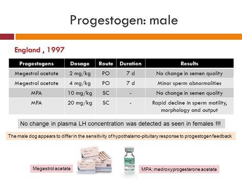 Suppawiwat Ponglowhapan Dvm Hons Ms Msc Phd Ppt ดาวน์โหลด