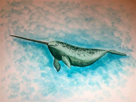 Narwhal Watercolor Painting Etsy