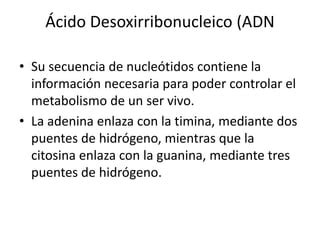 Tema Estructura De Los Cidos Nucleicos Aspectos Generales Formas