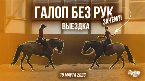 зачем делать ГАЛОП БЕЗ РУК? | ВЫЕЗДКА | не GoPro - YouTube