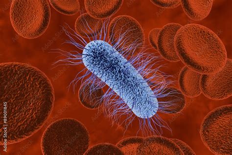 Three Dimensional Drawing Of Escherichia Coli In Blood With Red Blood