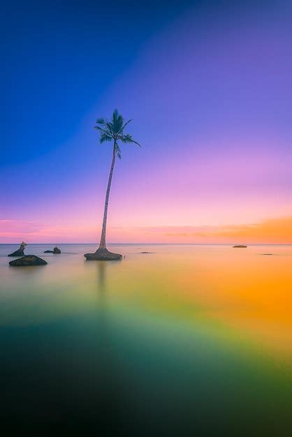 Una Palmera Se Encuentra En El Agua Con La Puesta De Sol Detr S De Ella