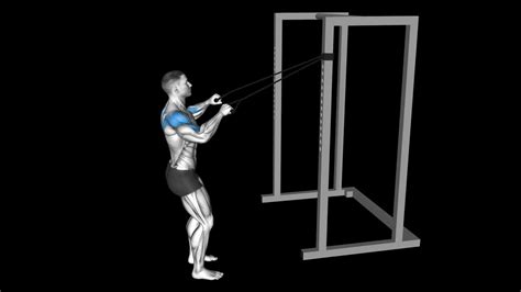 Close Grip Band High Row How To Video Alternatives And More