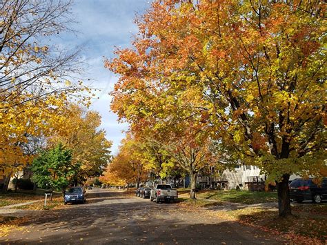 Autumn Street In My Hometown By Pamela Kirgis Photo Stock Studionow
