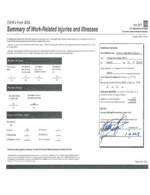 Fillable Online Ehs Unc OSHA Form 300A Year 2017 Fax Email Print