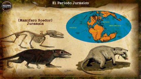 Principales Caracter Sticas Del Periodo Jur Sico Lista Con Fotos