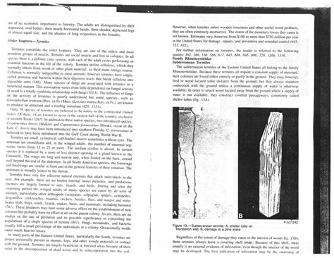 (PDF) Order Isoptera -- Termites