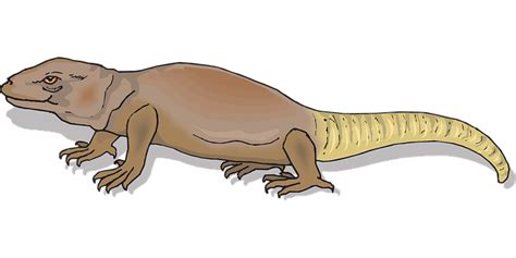 Download Illustrated Prehistoric Lizard | Wallpapers.com