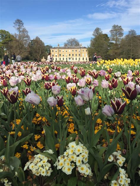 One Of The Perfect Historic Royal Palaces Hrps To Visit During Spring