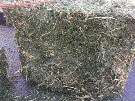 Small Square Alfalfa Nex Tech Classifieds