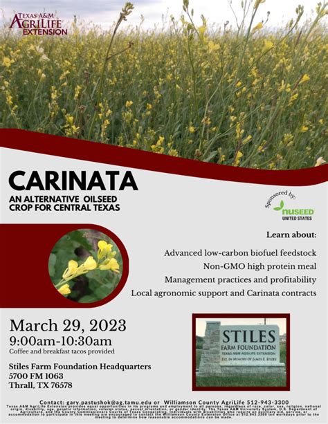 Carinata Program