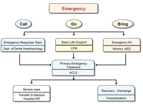 Emergency response system at the Seoul National University Dental ...