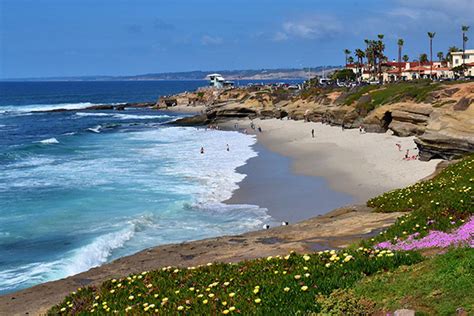 La Jolla Cove Destination Guide Everyday California