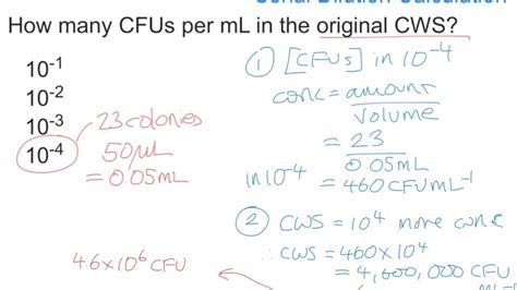 How To Calculate Cfu Ml