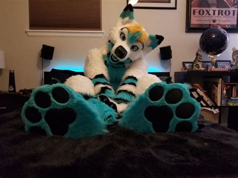 Pin By ⭐keyvon⭐ On Fursuits Fursuit Paws Anthro Furry Fursuit Furry