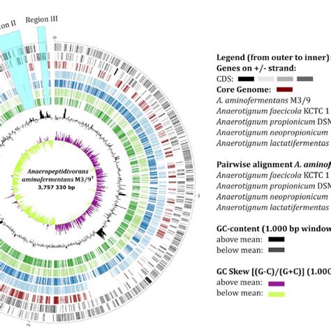 Multi Genome Circular Plot Visualizing The Orthologous Genes In The Download Scientific Diagram