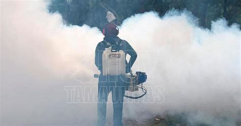 Hoy Tamaulipas Salud En Tamaulipas Alerta En Ciudad Madero Por Aumento De Casos De Dengue Grave