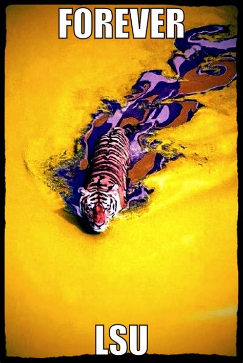 Forever Lsu Lsu Football Lsu Geaux Tigers