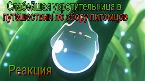 Реакция 4/Слабейшая укротительница в путешествии по сбору питомцев ...