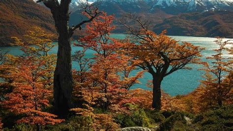 Turismo Qu Hacer En Bariloche En Oto O