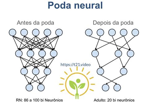 O que é poda neural ANDREIA TORRES