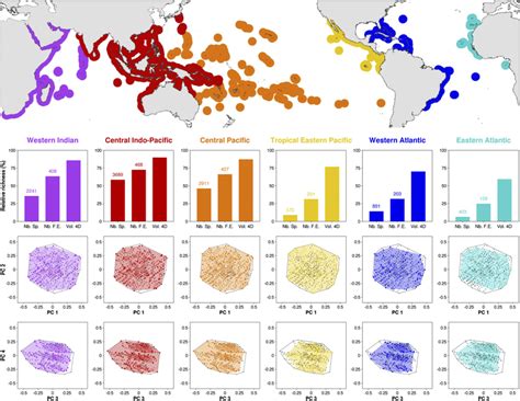 Species And Functional Diversity In Six Tropical Reef Fish Faunas