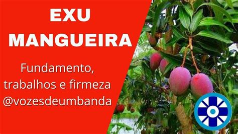 EXU MANGUEIRA O GRANDE CURADOR SEUS TRABALHOS E FUNDAMENTOS E SUAS