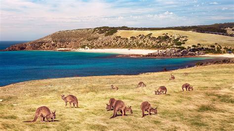 South Australia's Stokes Bay on Kangaroo Island Has Been Named Australia's Best Beach for 2023 ...