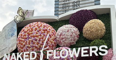 Travel Naked Flowers 花舞光影展香港站 素食