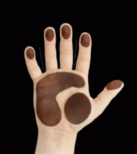 Anthropomorphic Paw Pfp By Ag37 Therianthropist On Deviantart