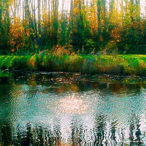 Naked Quando a canção emociona e faz transparecer a alma Vivendo Bem Feliz