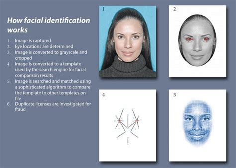 Facial Recognition Steps Source Eff Adapted Download Scientific Diagram