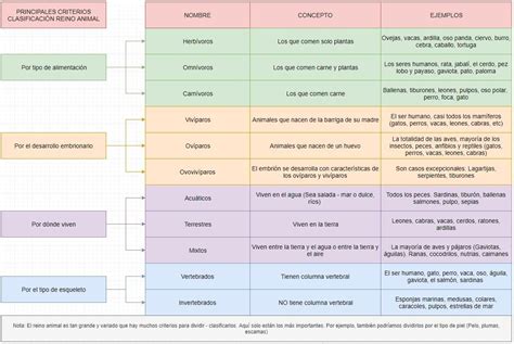 Reino Animal O Animalia Qué Es Clasificación Nutrición Y Ejemplos