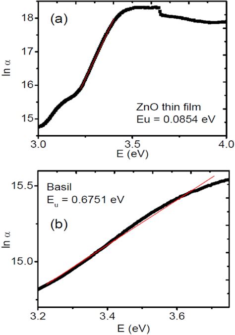 Photoelectrochemical Energy Conversion Using Hybrid Photoelectrodes