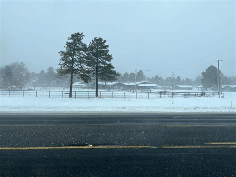 Flagstaff Snow Totals 2024 - Rois Vivien