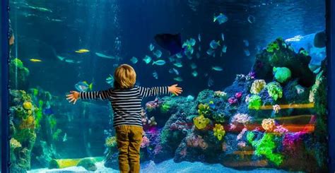 Sea Life Berlin Tickets Getyourguide