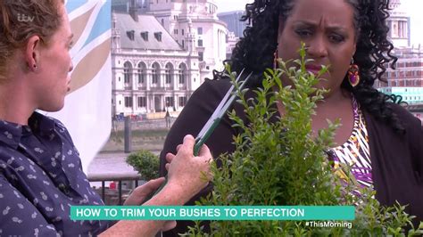 How To Trim Your Bushes To Perfection This Morning YouTube