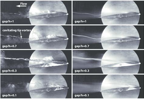 Left Sapshots Of The Cavitating TLV Generated By A NACA0009 With