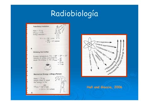 Solution Radiologia Odontologia Radiobiologia Efectos Biol Gicos