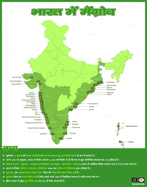 Mangroves In India