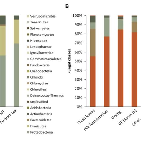 The Relative Abundances Of Bacterial Phyla A And Fungal Classes B