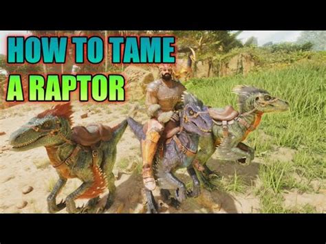 HOW TO TAME A RAPTOR ARK SURVIVAL ASCENDED YouTube