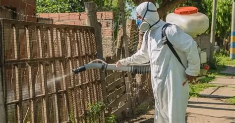 Para Combatir El Dengue Realizan Operativos De Fumigación Y