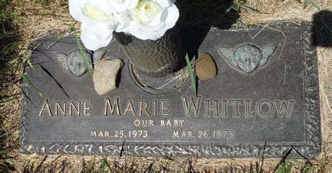 Anne Marie Whitlow 1973 1973 Find A Grave Memorial