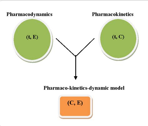 Figure 1 From Analysis Of Pharmacokinetic And Pharmacodynamic Models In Oral And Transdermal